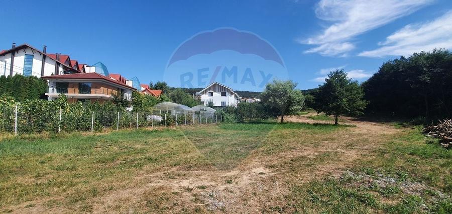 Teren Construcții intravilan de 3600 mp, în Făget