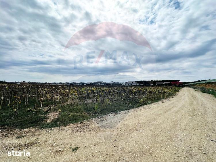 Teren de 14863 mp, în Ciorogârla