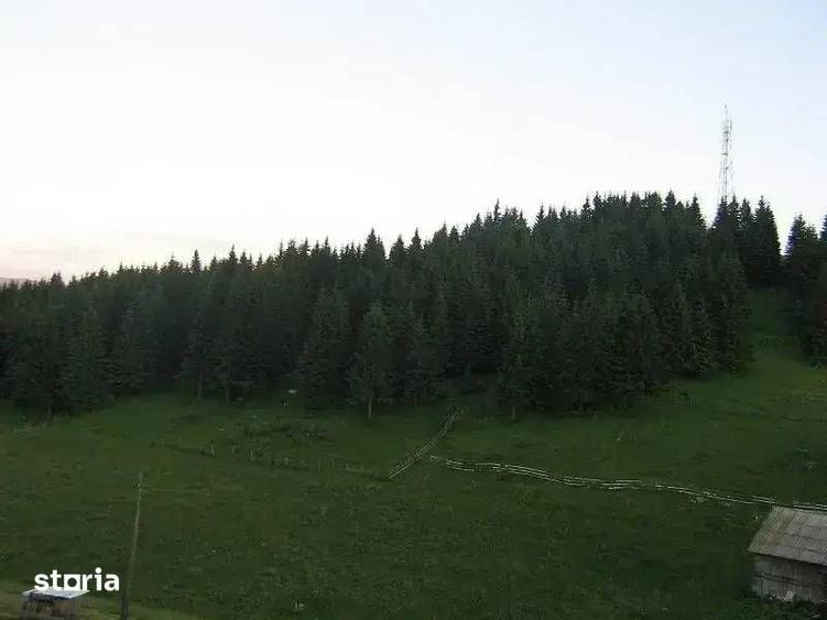 TEREN INTRAVILAN DE VANZARE | COMUNA FUNDATA | FUNDATICA | BRASOV - 5