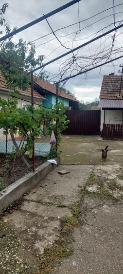 Casă cu 4 camere în Cohani