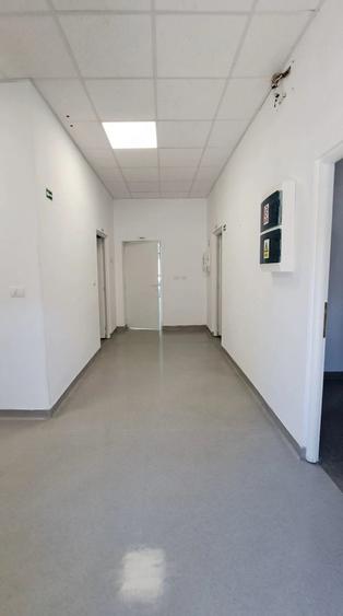 Spațiu comercial, de 110 mp, în Theodor Pallady