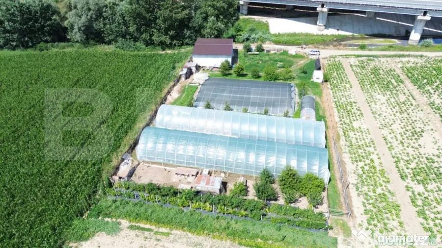 Teren extravilan 14.000 mp, Drambar Ciugud | solarii, f - 4