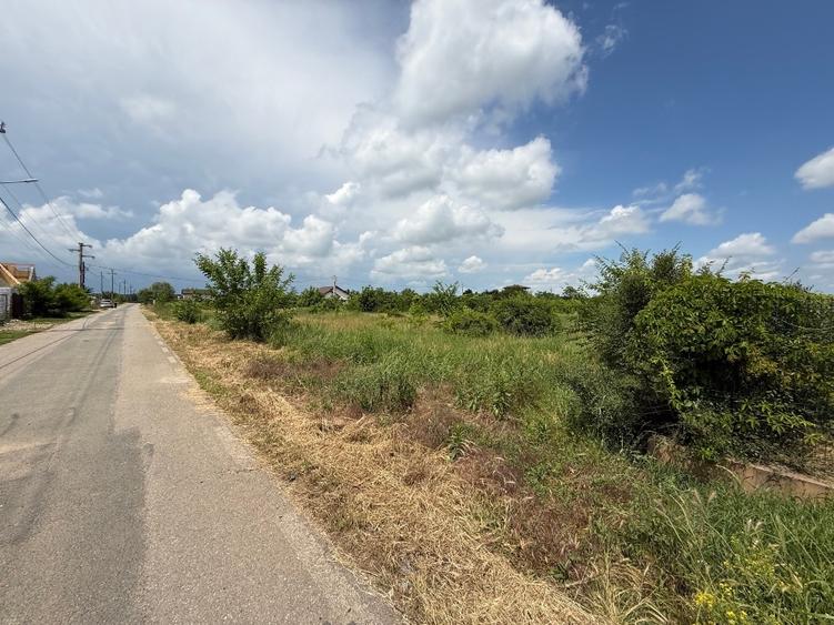 Teren intravilan 1850 mp – Gradistea, Ilfov | Dubla deschidere stradala - 6