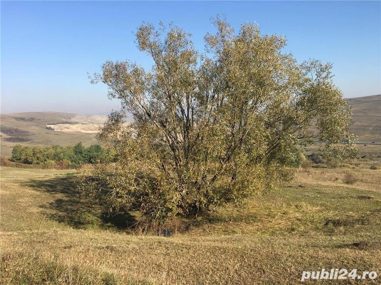 Teren de 6259 mp, în Central