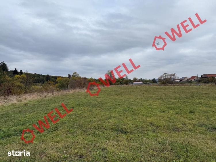 Teren de 3200 mp, în Dumbrăvița