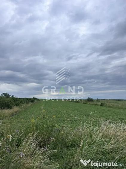Teren intravilan 5.700 mp | Copaceni, Cluj | DN1 | - 1