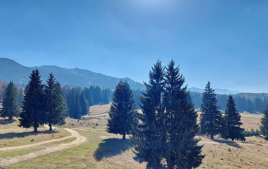 Apartament cu 2 camere semidecomandat, mobilat în Drumul Poienii