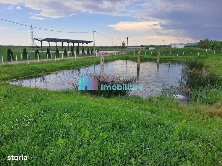 Casă cu 4 camere cu Teren 10000 Mp în Fântâna Mare