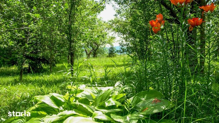 Teren de 14000 mp, în Mihai Viteazu