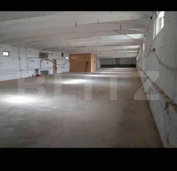 Spațiu industrial, de 1,200 mp, în Botiz