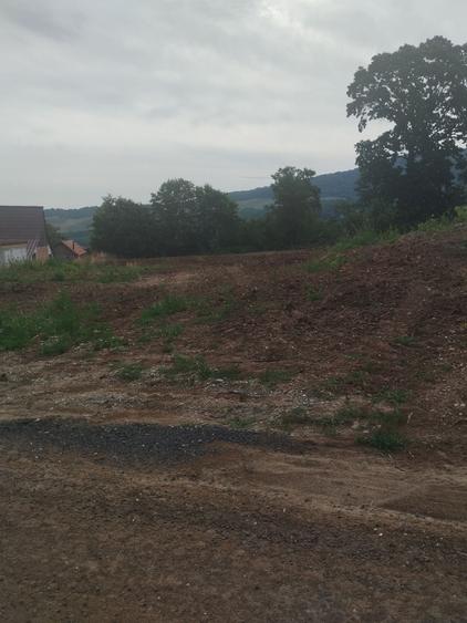 Teren de 1950 mp, în Pianu