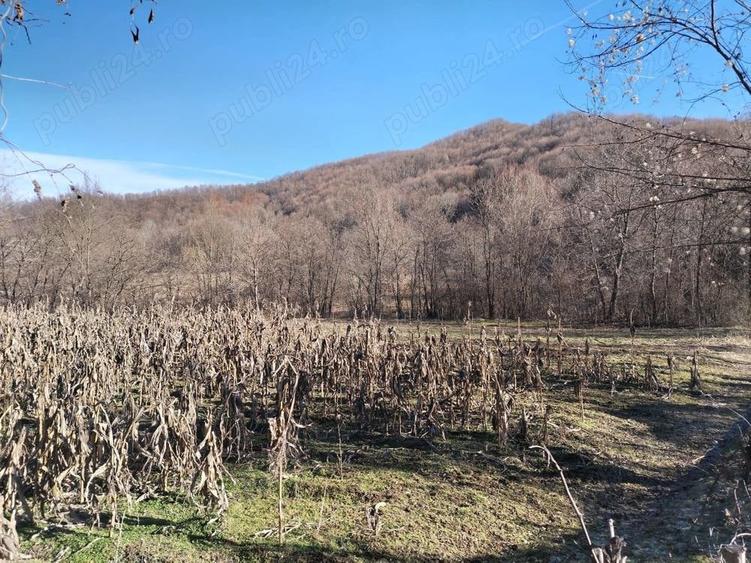 Teren de 2002 mp, în Central