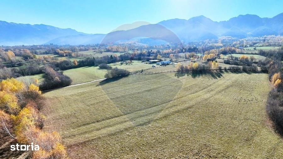 Teren de 12615 mp, în Tohănița