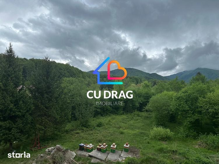 Casă cu Teren 12000 Mp în Avrig