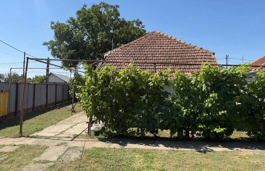 Casă cu 3 camere cu Teren 900 Mp în Ciorani
