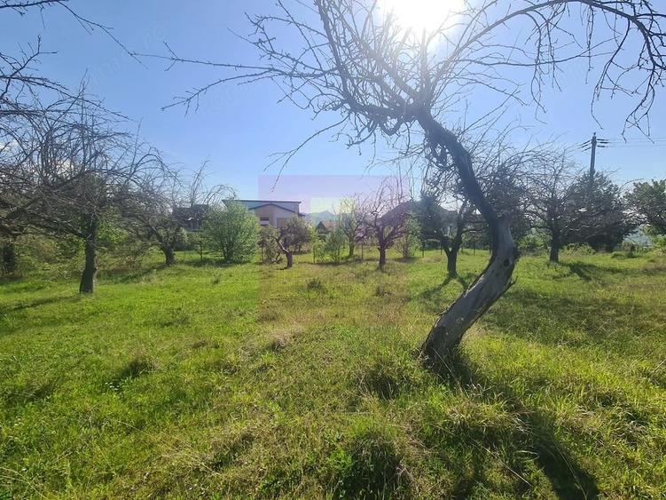 Teren de 2500 mp, în Voila