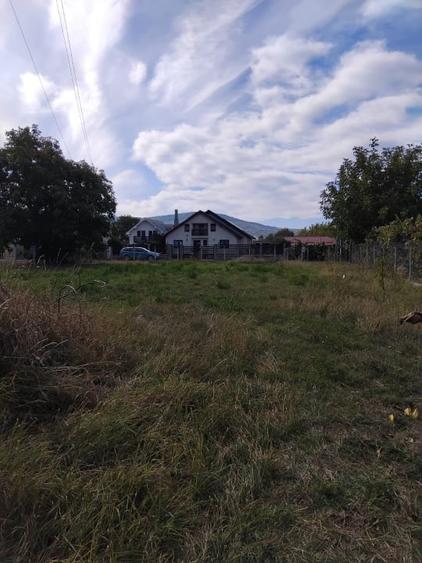 Teren Construcții intravilan de 2600 mp, în Livezile