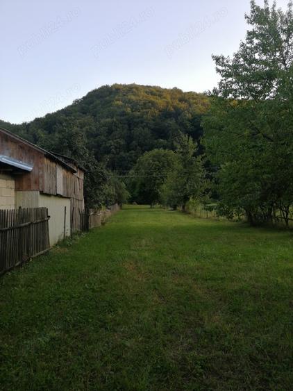 Casă cu 2 camere cu Teren 2500 Mp în Dărmănești