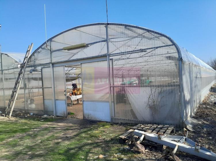 Teren Construcții intravilan de 3144 mp, în Roșiori