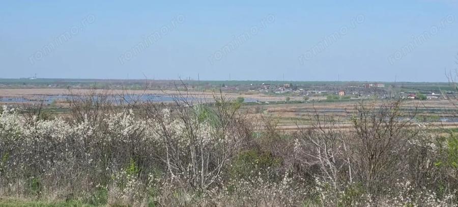 Teren de 4300 mp, în Comana