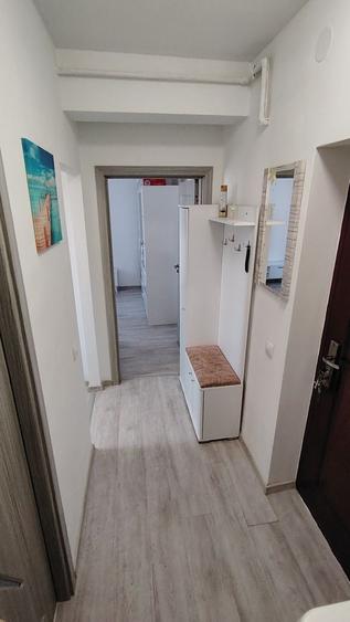 Garsoniera de vanzare 25m2, etaj 1, Turnisor,cartierul Alma, Sibiu - 8