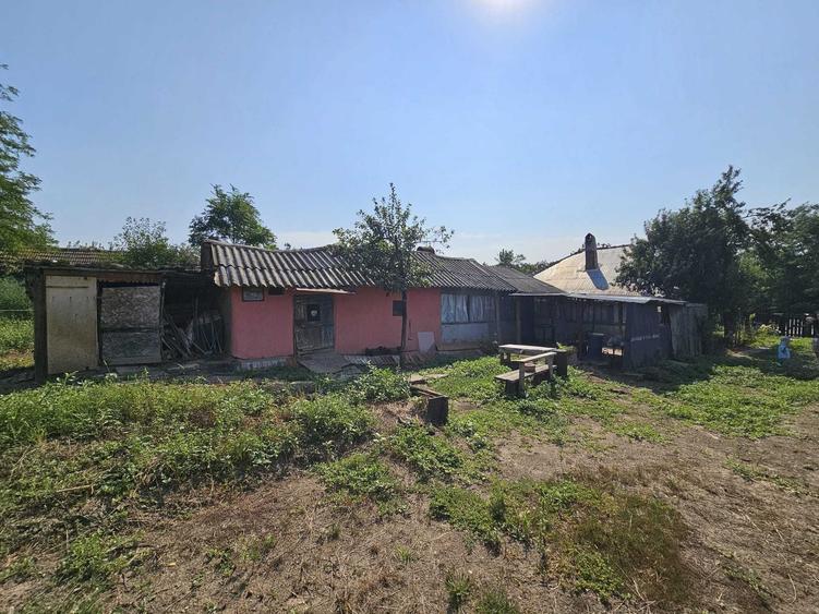 Casă cu 4 camere în Frăsinet