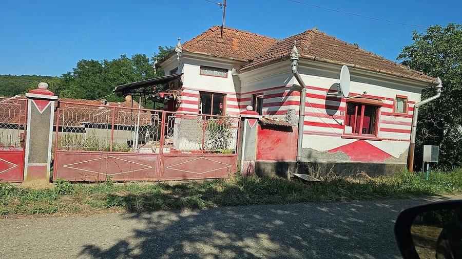 Casă cu Teren 8338 Mp în Făgețel