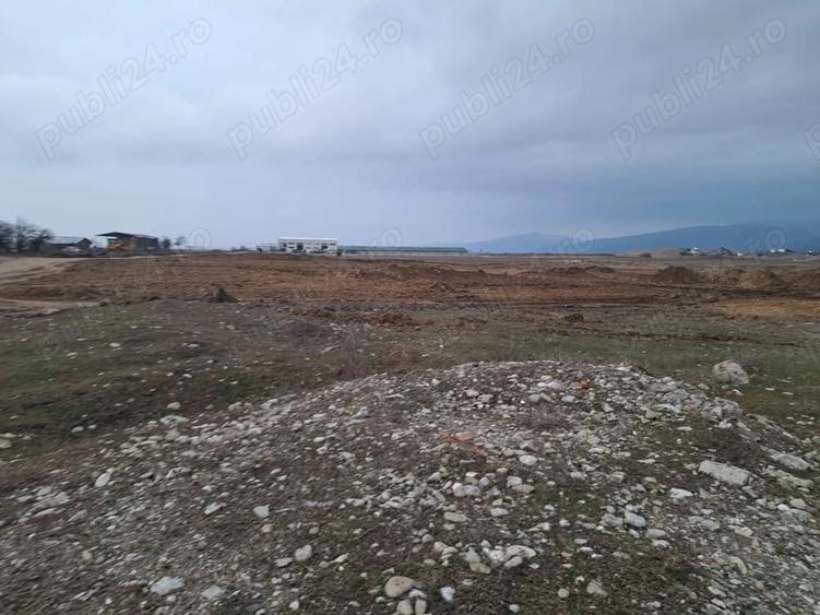 Teren de 1450 mp, în Cărpiniș