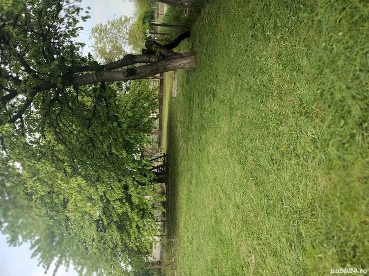 Teren de 24 mp, în Central