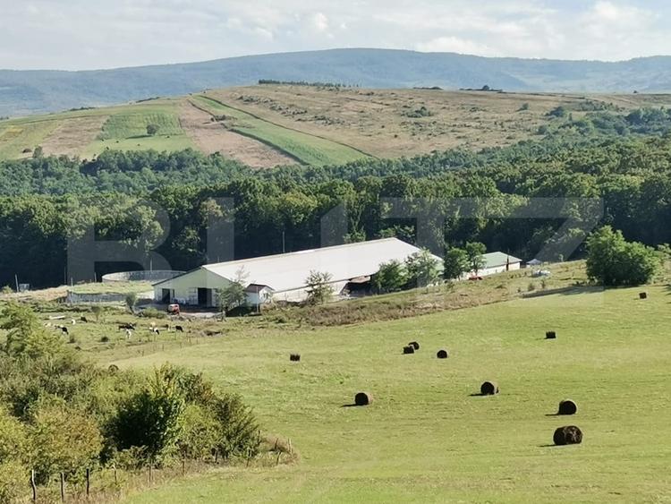 Spațiu industrial, de 3,000 mp, în Vest