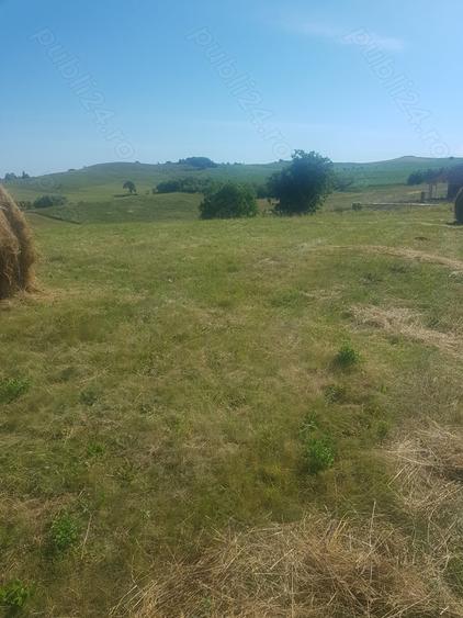 Teren de 7000 mp, în Săliște