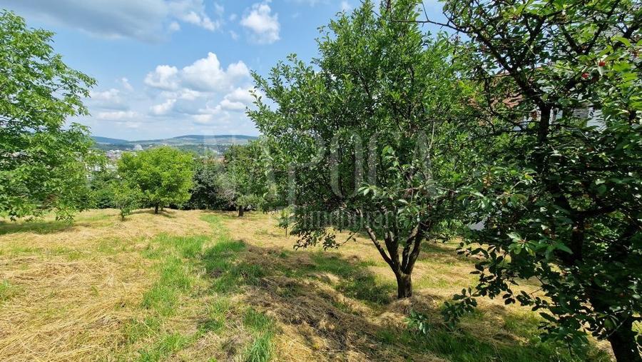 Teren Construcții intravilan de 4600 mp, în Zorilor
