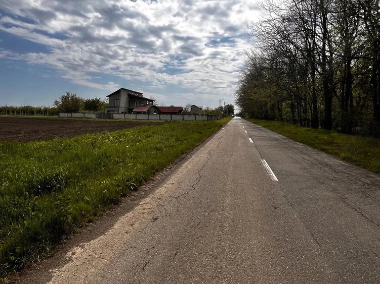Teren de 1700 mp, în Berceni