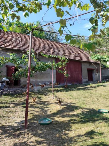 Casă cu 3 camere în Săliștea