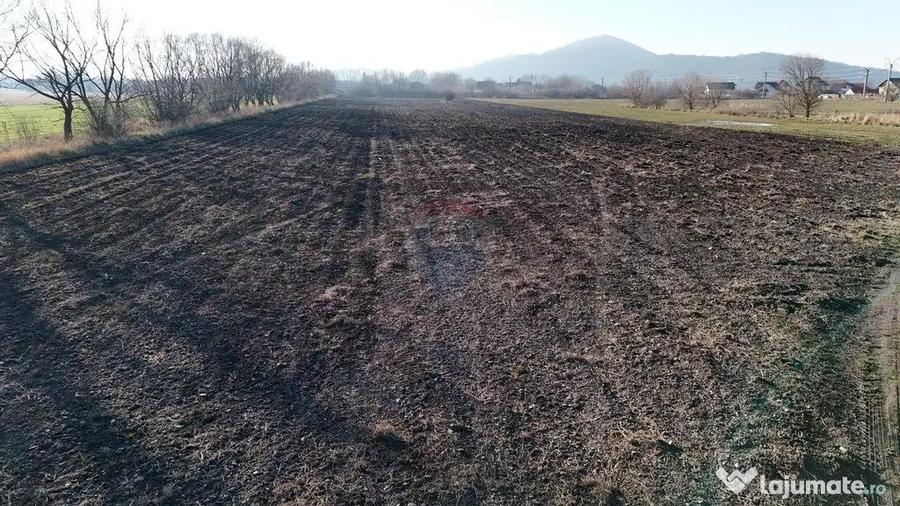 Teren de 15482 mp, în Hărman