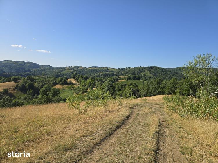 Teren de 150000 mp, în Cerbăl
