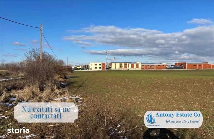 Antony Estate | Teren Intravilan de vanzare- Bors - 1