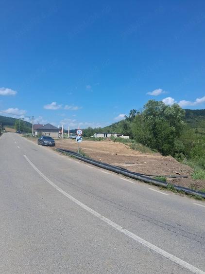 Casă cu Teren 8000 Mp în Panticeu