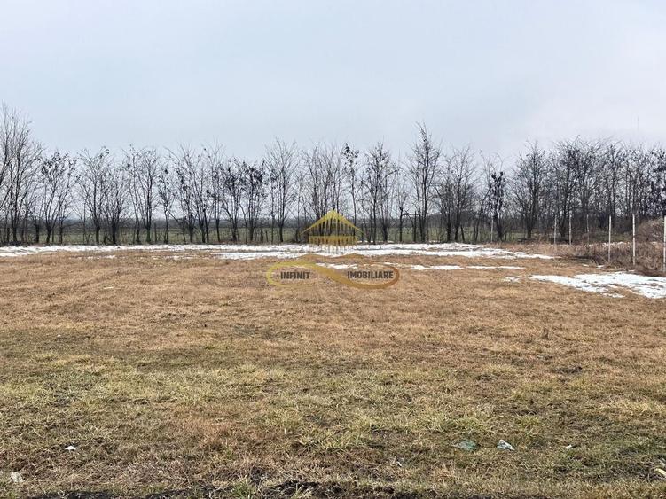 Teren Construcții intravilan de 900 mp, în Săucești