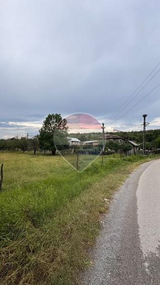 Teren Construcții intravilan de 20798 mp, în Prunișor