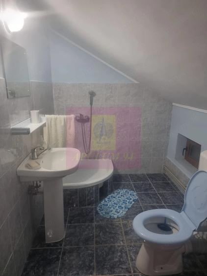 Casă cu 7 camere cu Teren 1500 Mp în Islaz