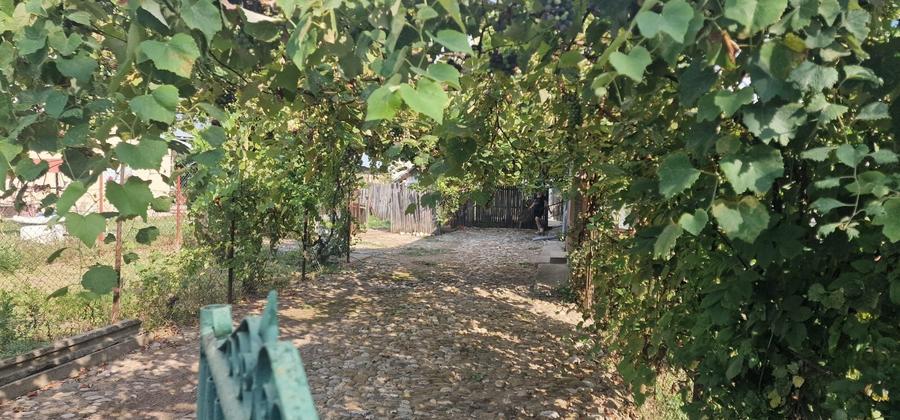Casă cu 3 camere în Valea