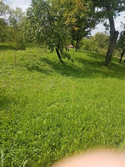 Teren de 2300 mp, în Runcu