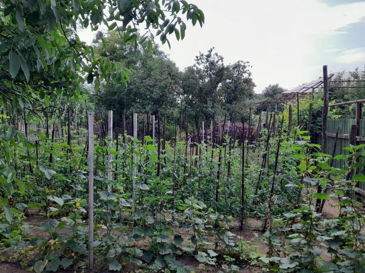 Casă cu 4 camere în Valea Soarelui
