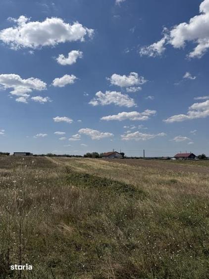 Teren de 3800 mp, în Malu Mare