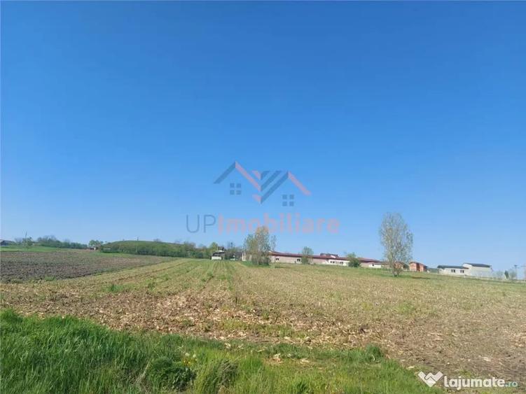 Teren de 4367 mp, în Hidiș