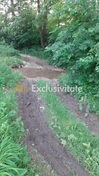 Teren de 12421 mp, în Big-Bascov