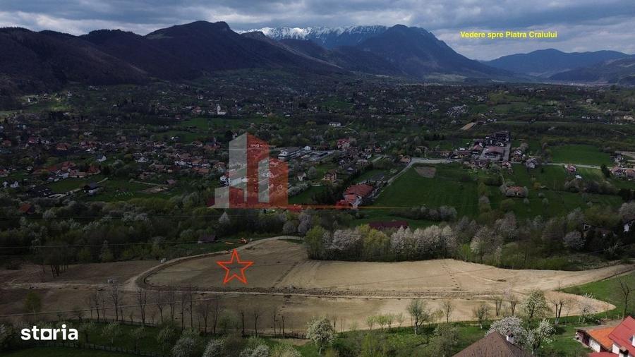 Spațiu comercial, în Bran