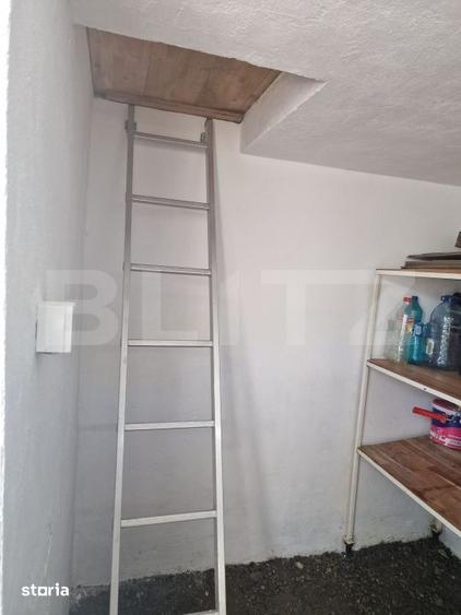 Casă cu 2 camere cu Teren 1000 Mp în Viișoara