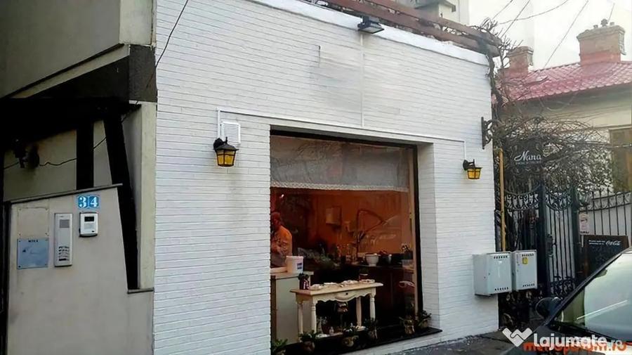 Spațiu comercial, de 36 mp, în Pache Protopopescu